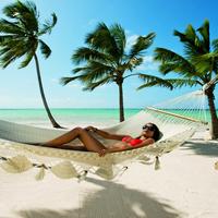 Отзыв от Роза - DTV виза